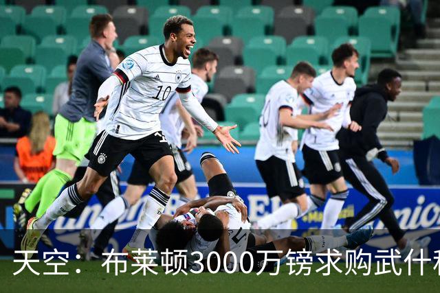 天空：布莱顿3000万镑求购武什科维奇，预计热刺对其估值超6000万
